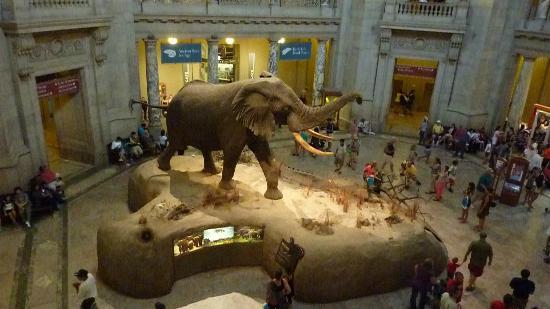 Museo de Historia Natural Smithsonian de Washington