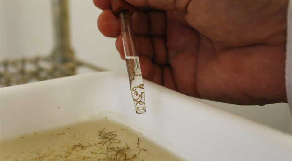 Científico Venezolano