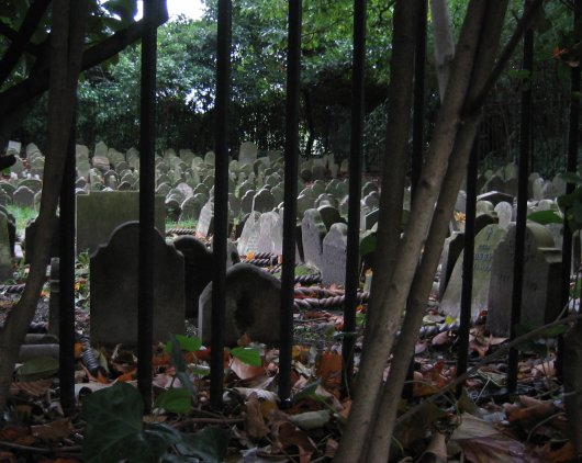 cementerio de animales