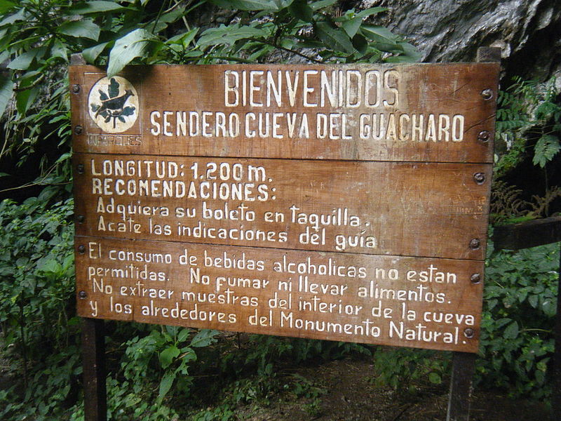 Cartel de La Cueva del Guácharo