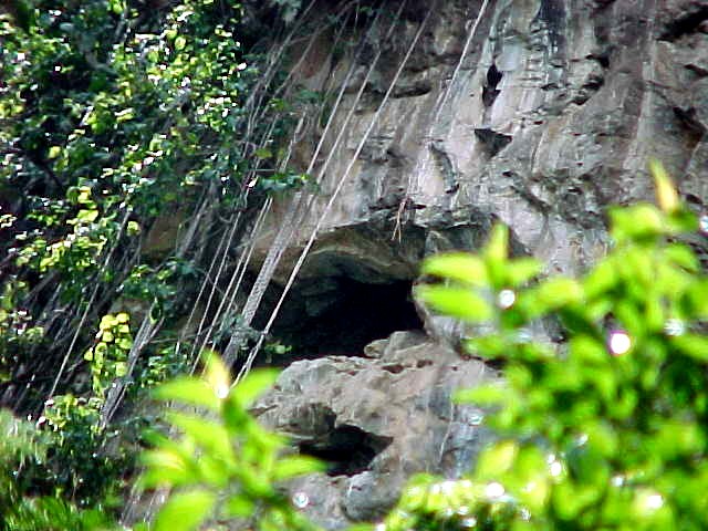 Cuevas del Indio, Venezuela